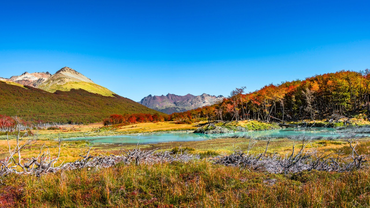Excursie in Parcul National Tierra del Fuego