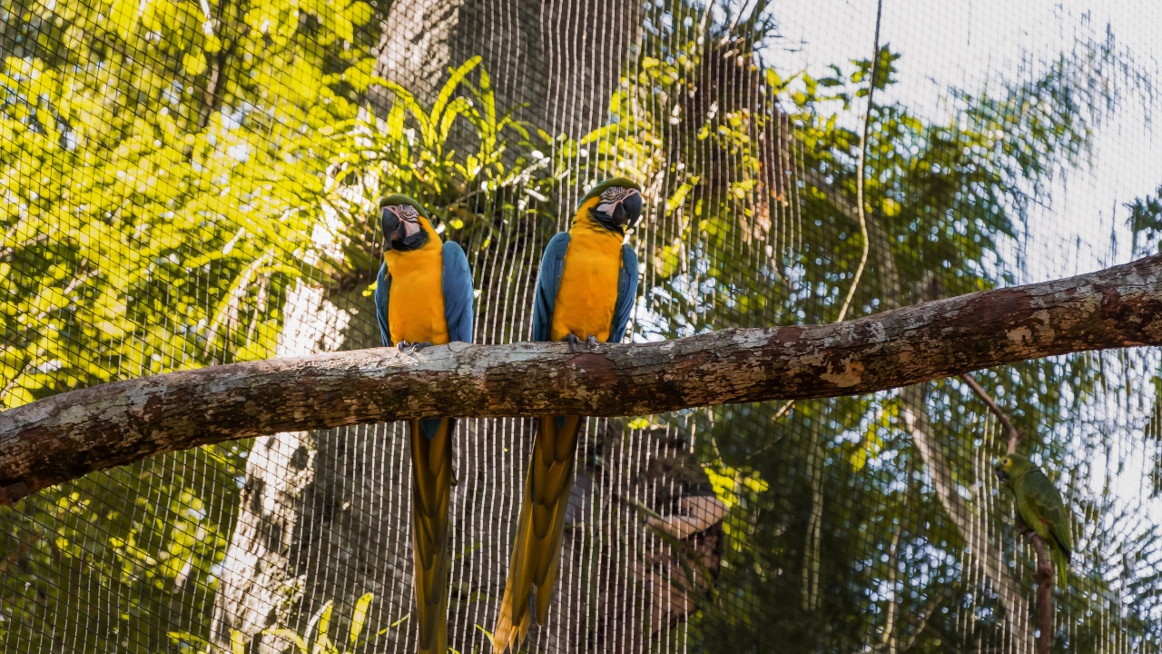 Ziua 12- Cascada Iguazu - Partea braziliana