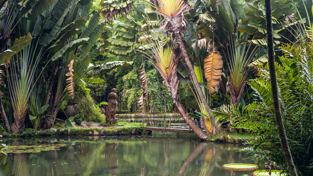 Ziua 14 - Rio de Janiero