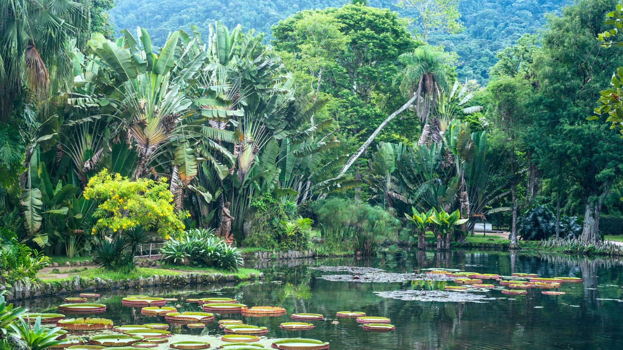 Ziua 14 - Rio de Janiero