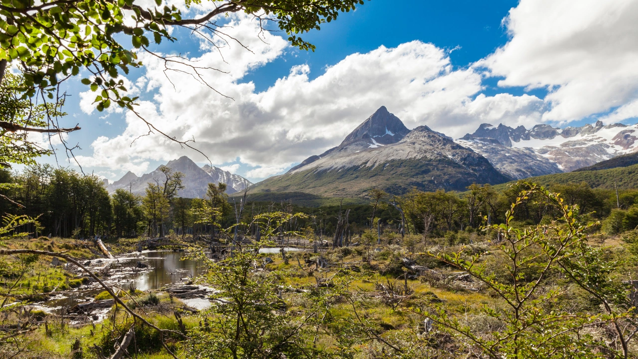 Ziua 7 - Parcul National Tierra del Fuego 
