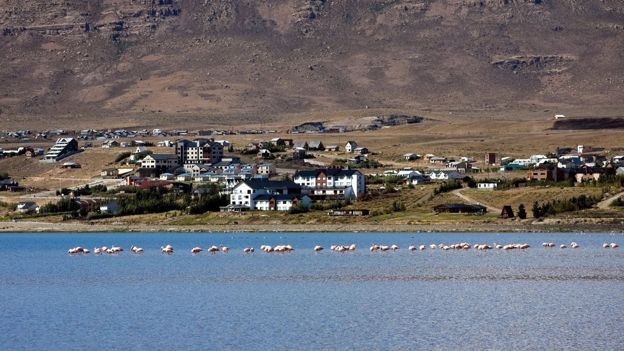 Ziua 8 - El Calafate