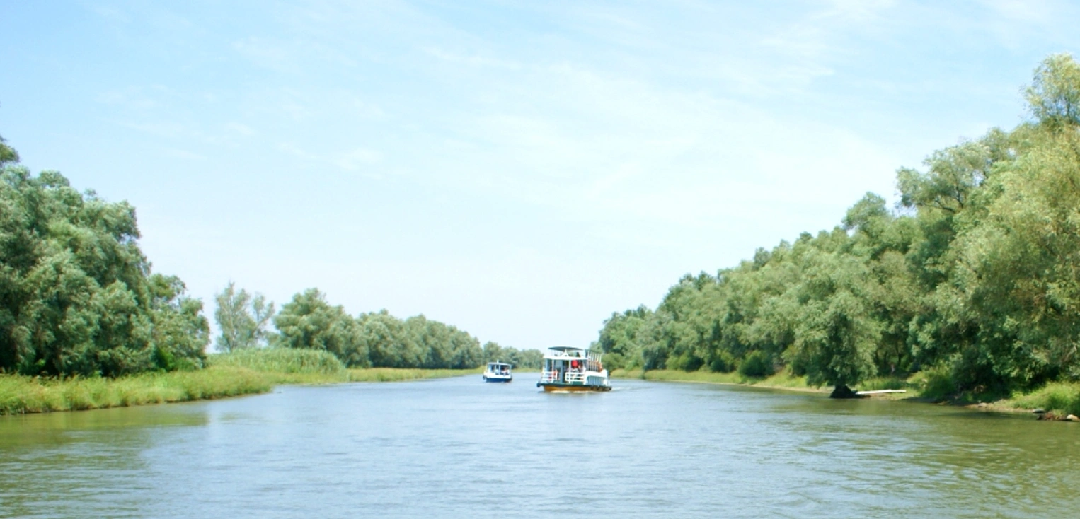 Ziua 3 - La cotete, maternitatea de pasari