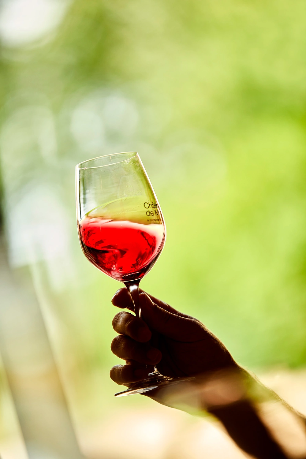 Ziua 2 - Chinon - Chateau de Minière