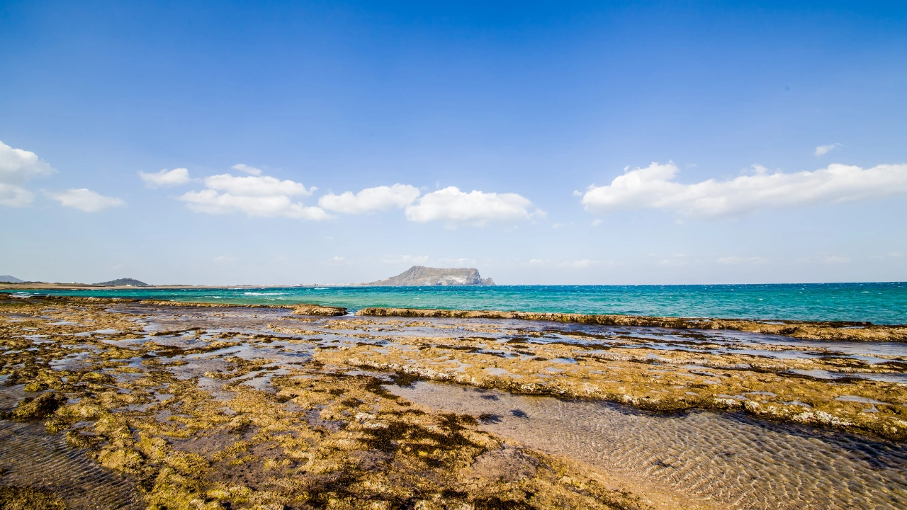 Ziua 10 - Insula Jeju