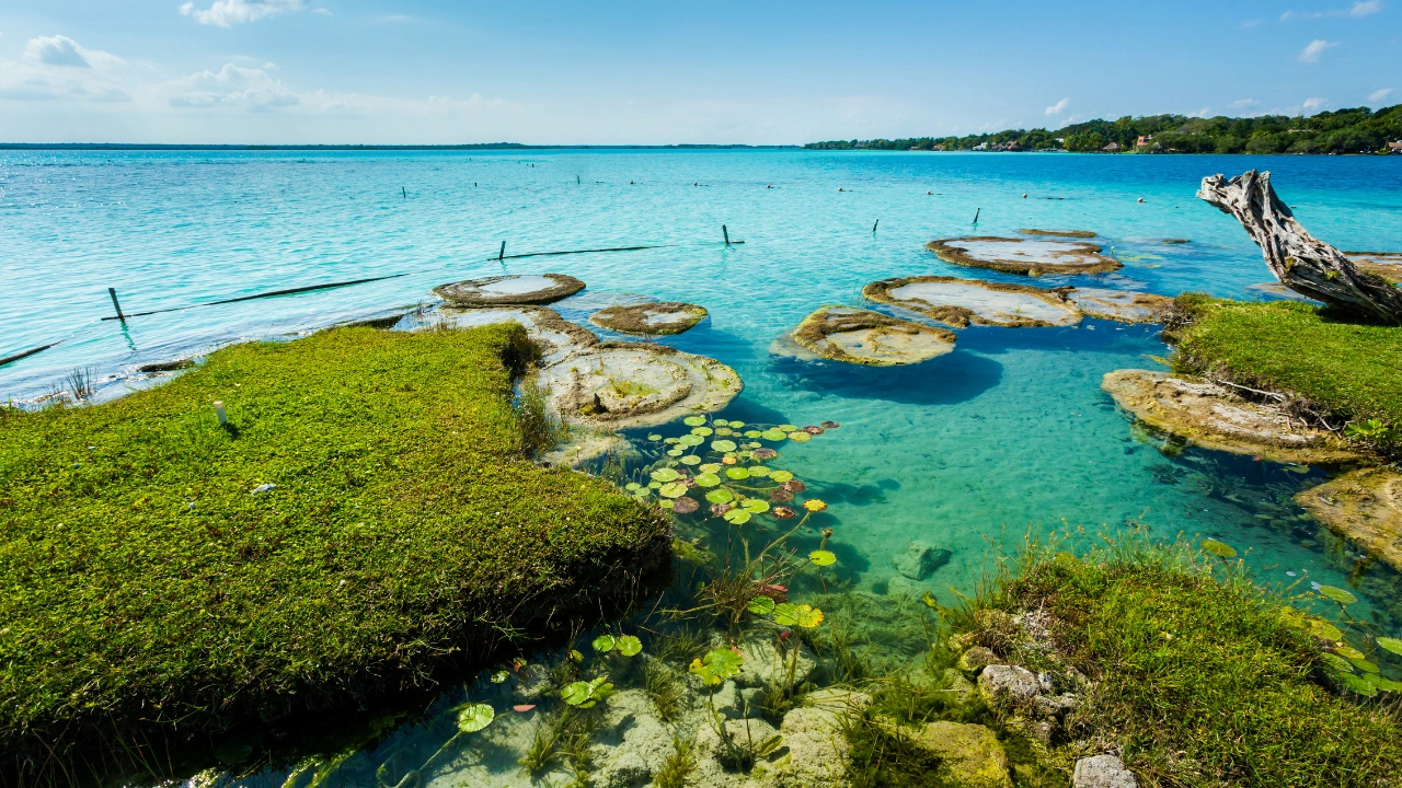 Ziua 4 - Mexic - Bacalar