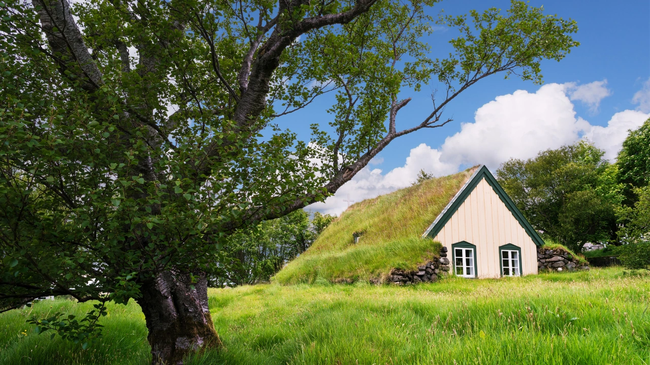 Ziua 4 - Campul de lava Eldhraun - Mulagljufur Canyon - Jokulsarlon