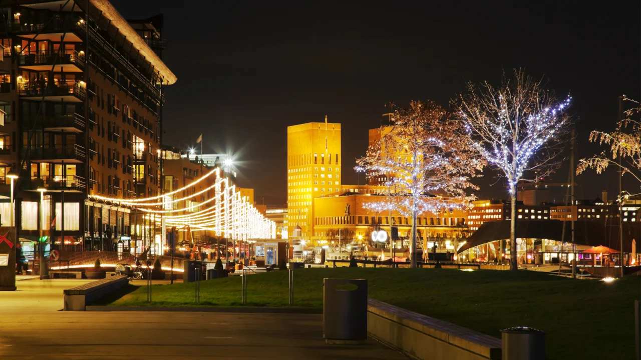 Tur ghidat de seara al orasului Oslo