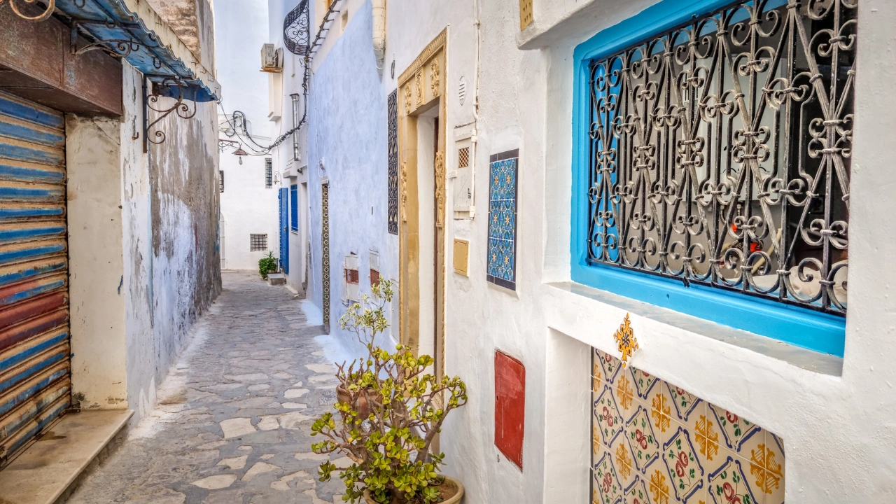 Tur de oras Hammamet 