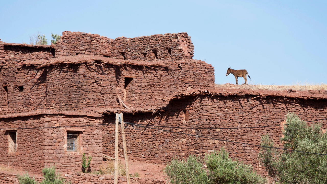 Ziua 9 - Bin El Ouidane