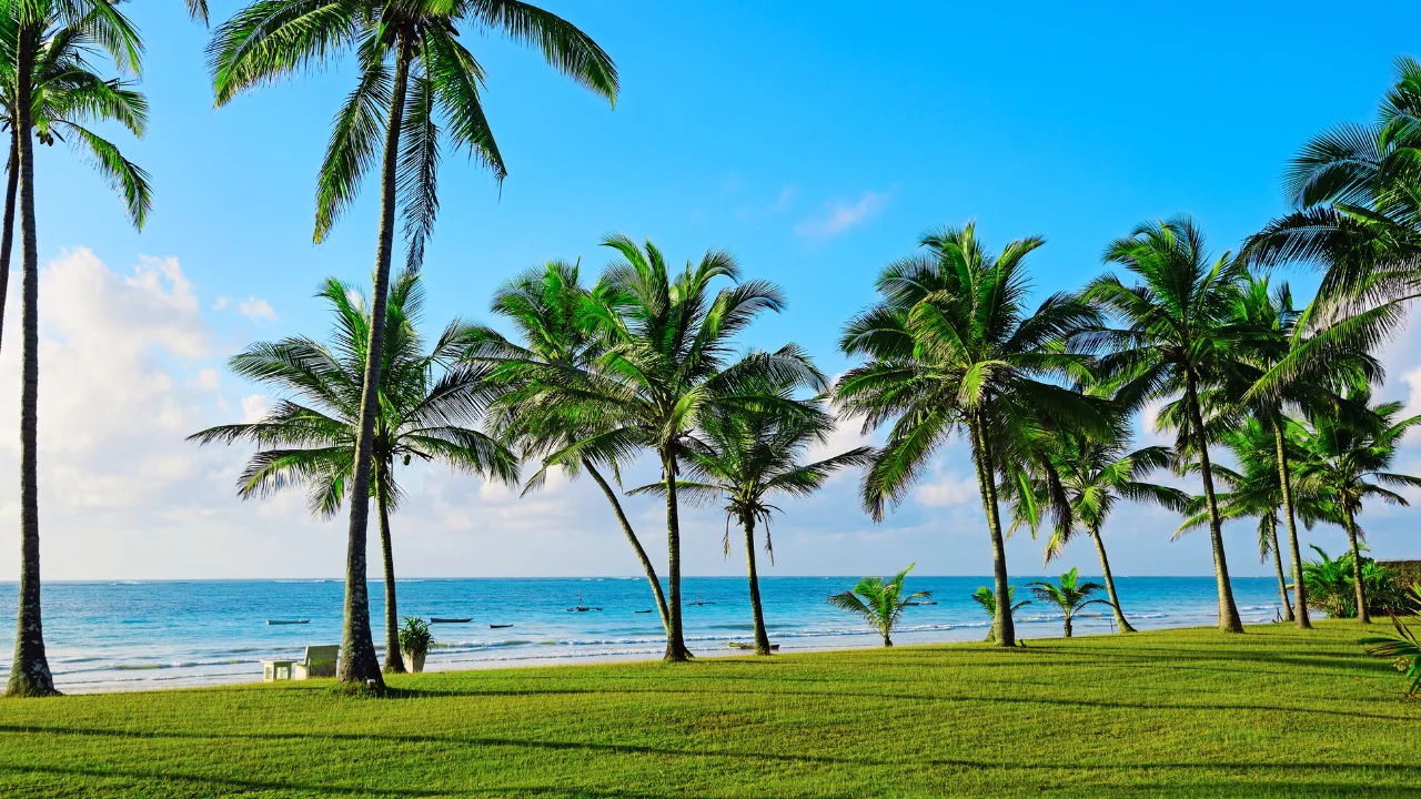 Ziua 7 - Zbor catre Mombasa