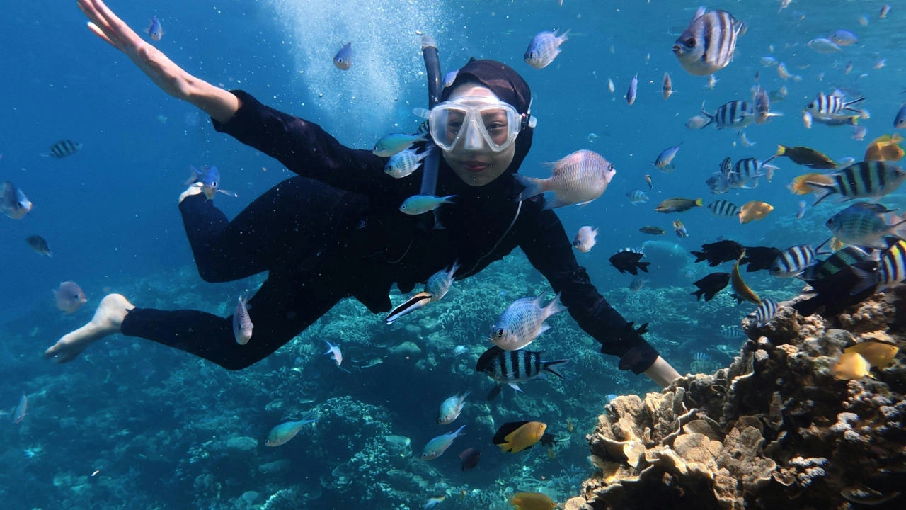 Scufundari & snorkelling