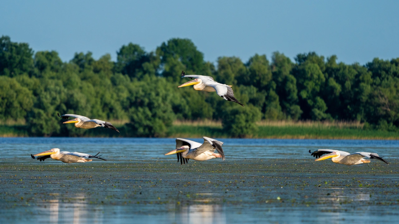 Ziua 2 - Satul Mila 23, satul campionilor