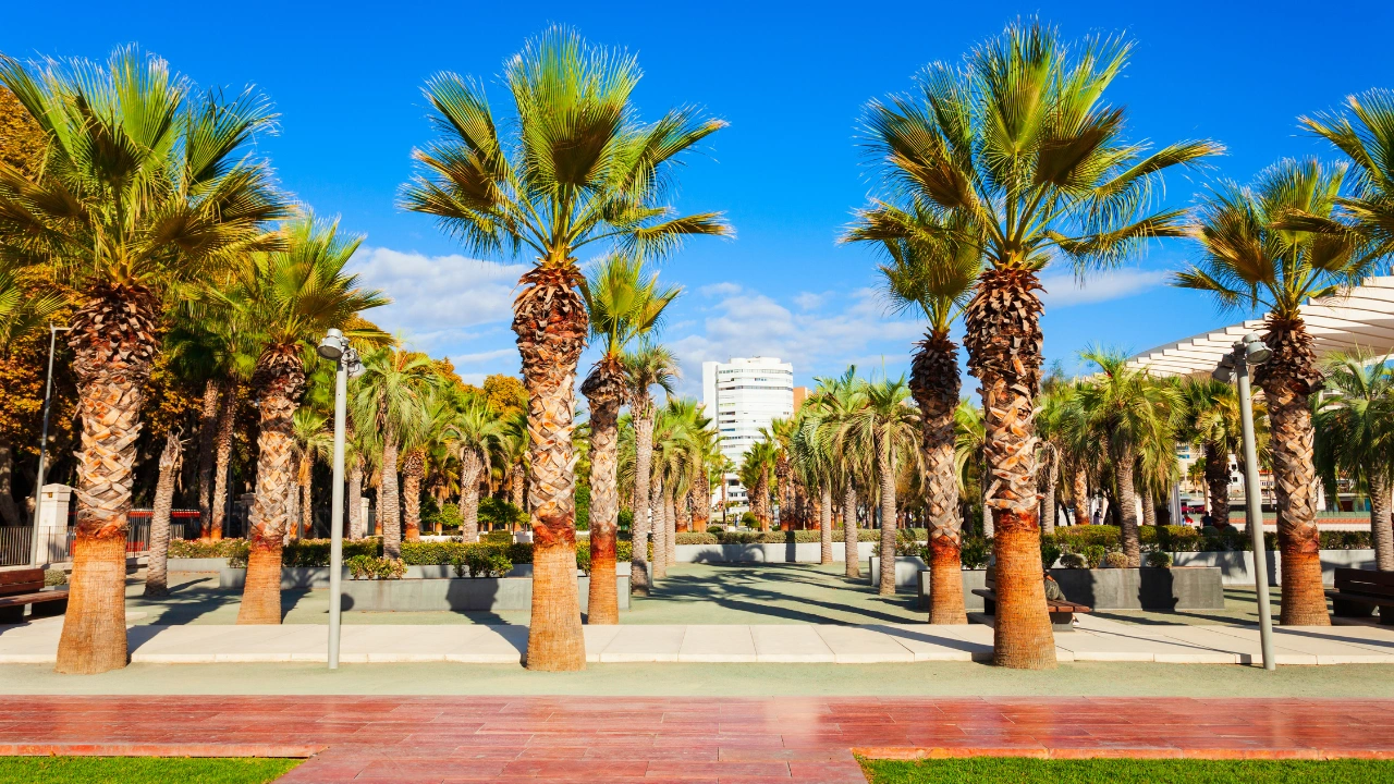 Ziua 2 - Alcazaba de Málaga - Muzeul Picasso - Strada Larios
