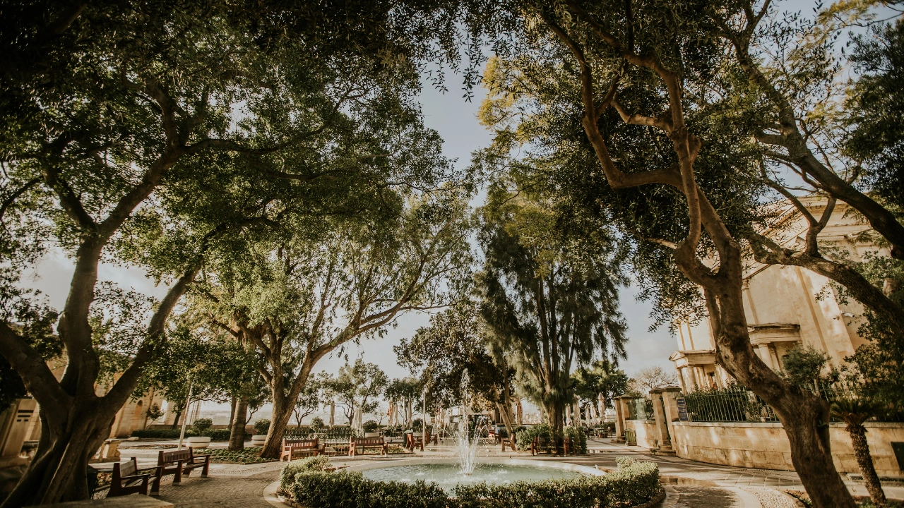 Ziua 4 - Intoarcere acasa