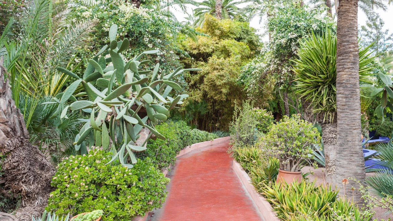 Ziua 11 - Marrakech - Piata Jemaa el-Fnaa - Gradinile Majorelle