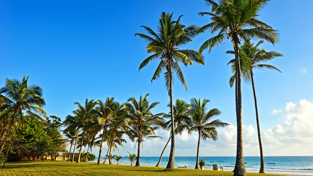 Relaxare in Diani Beach