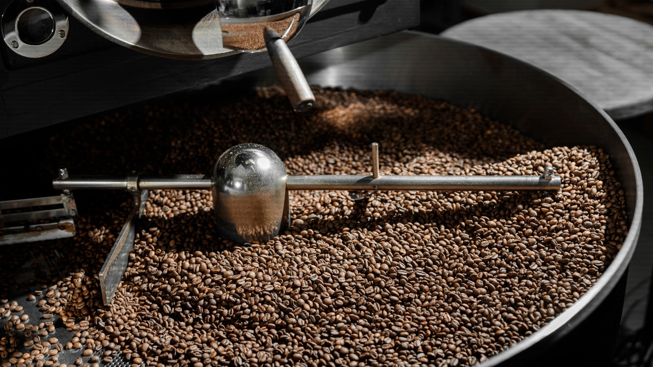 Ziua 5 - Finca del Café - Zbor Medellín