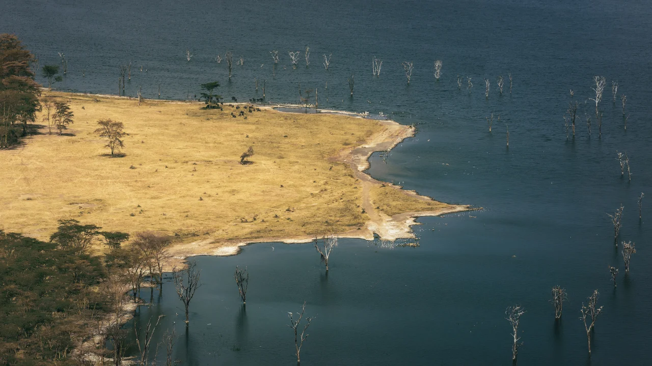 Ziua 3 - Lacul Nakuru