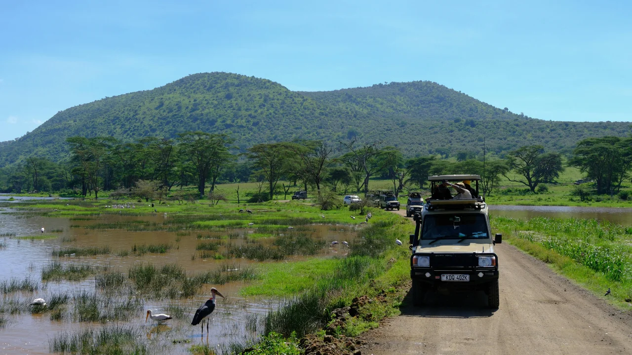 Ziua 3 - Lacul Nakuru