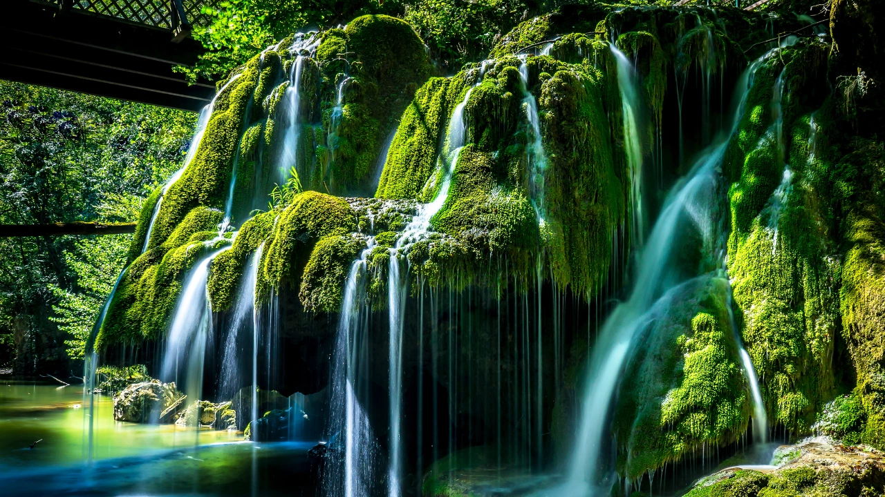 Circuit - Comorile Banatului si Splendoarea Dunarii