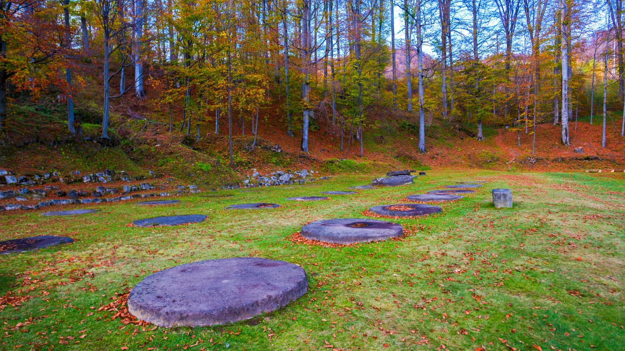 Ziua 7 - Sarmizegetusa Regia – Cluj-Napoca