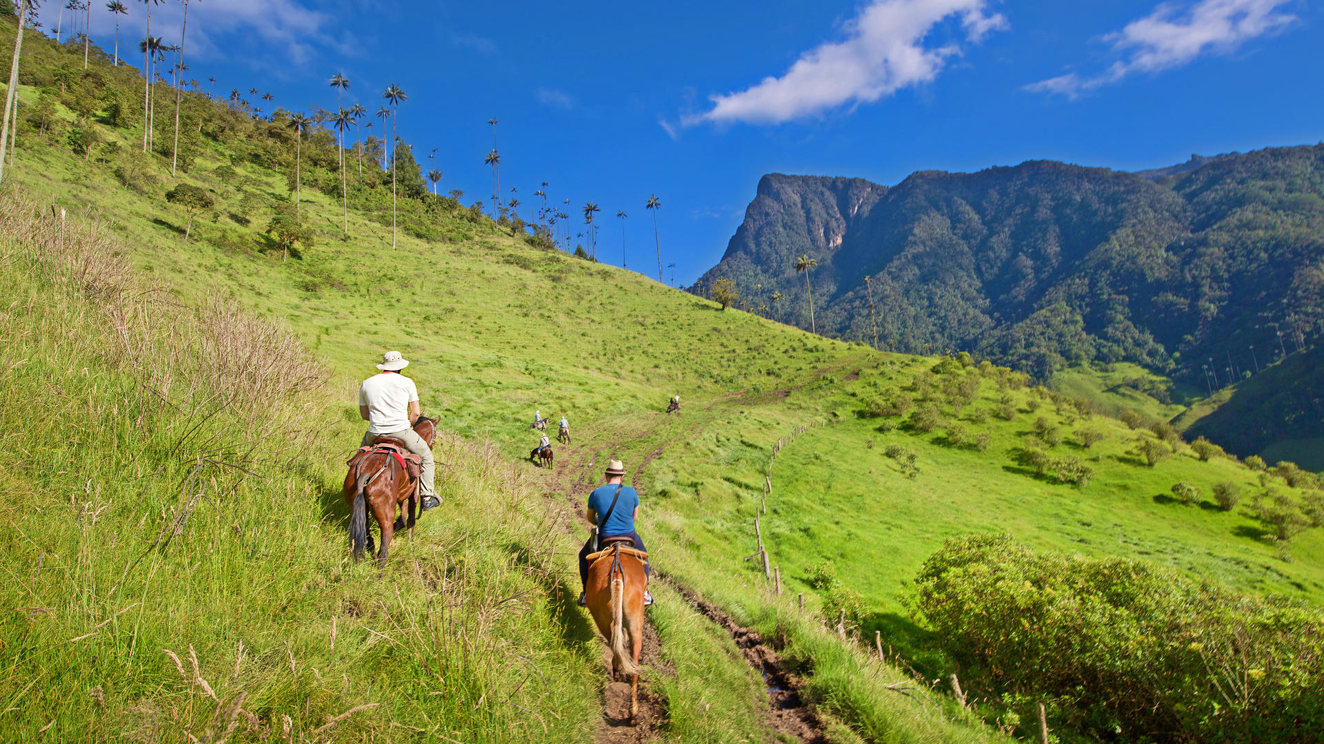 Ziua 4 - Valea Cocora 