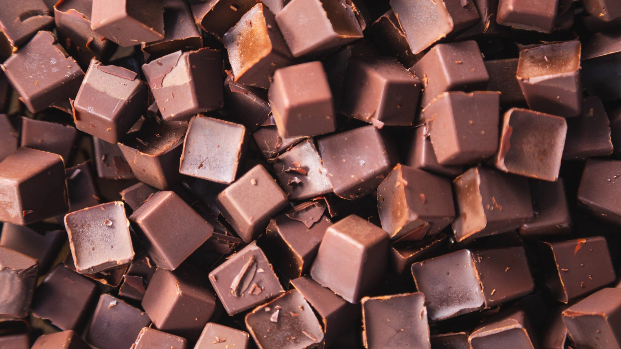 Vizita la Lindt Home of Chocolate cu degustare de ciocolata