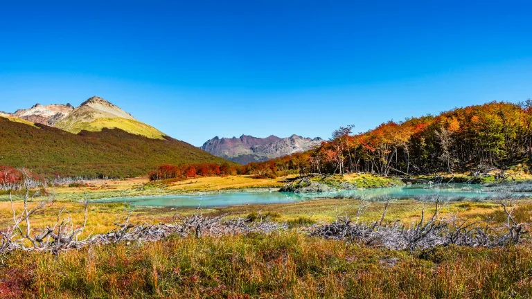 Excursie in Parcul National Tierra del Fuego