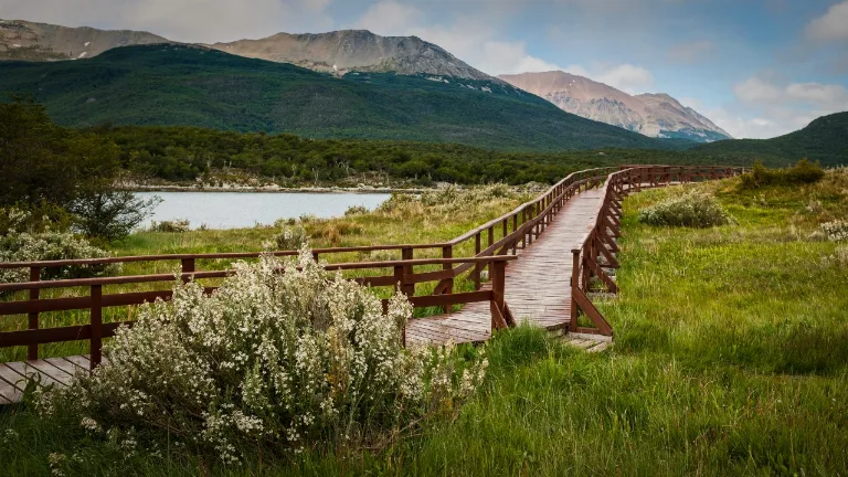 Ziua 7 - Parcul National Tierra del Fuego 