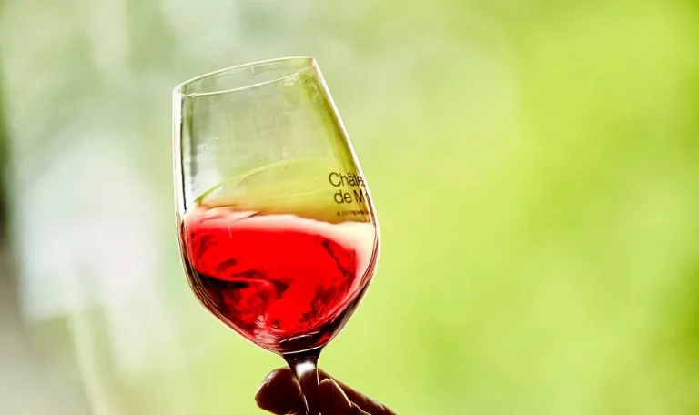 Degustare de vin Chateau de Minière