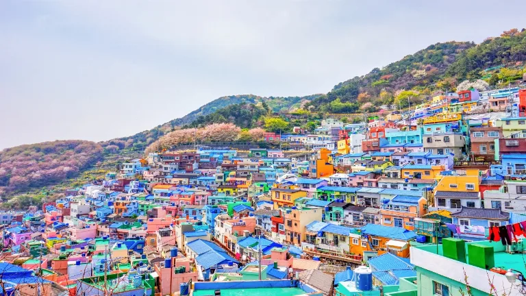 Ziua 7 - Busan