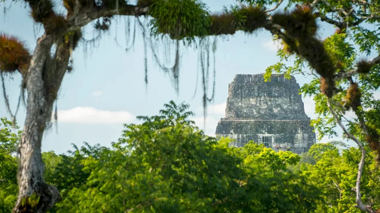 Ziua 10 - Guatemala - Tikal