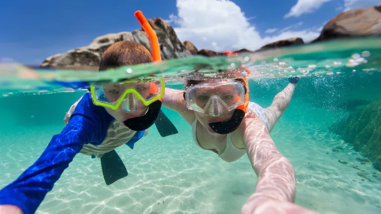Snorkeling / diving