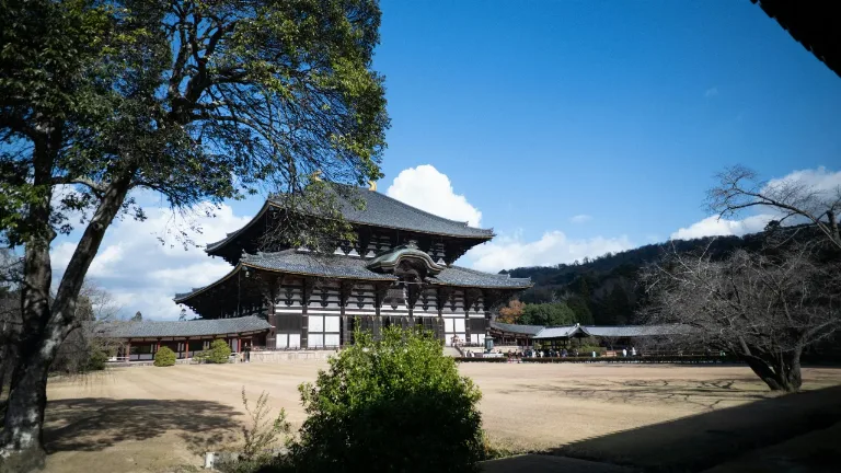 Ziua 5 - Kyoto \ Uji & Nara