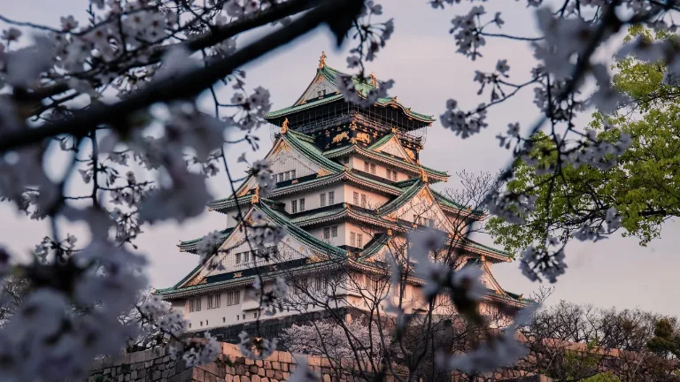 Ziua 6 - Kyoto / Osaka