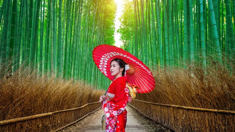 Ziua 4 - Kyoto