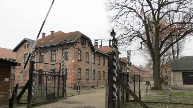Ziua 3 - Cracovia – Auschwitz – Wieliczaka