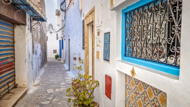 Tur de oras Hammamet 