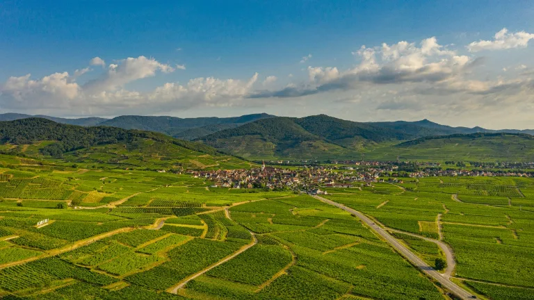 Ziua 2 - Tur de 1 zi in Alsacia - Experienta completa de degustare a vinurilor