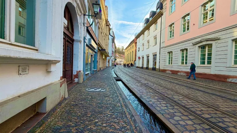 Ziua 4 - Tur privat de o zi Freiburg