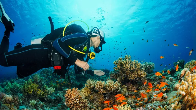 Scufundari & snorkelling