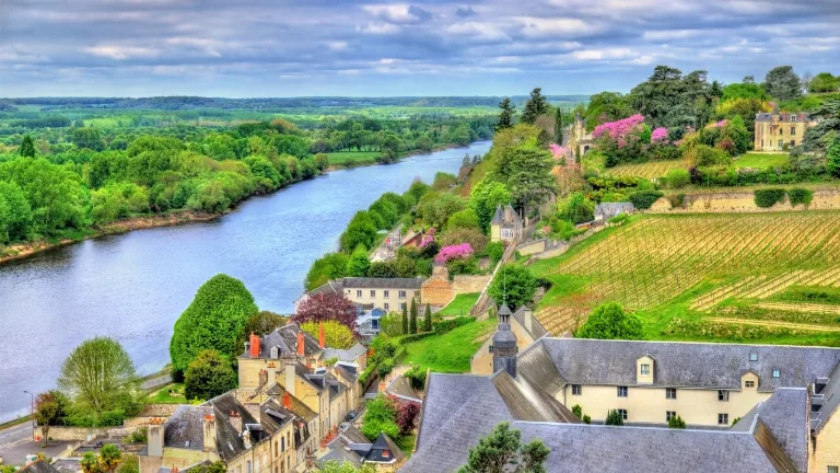 Ziua 2 - Chinon - Chateau de Minière