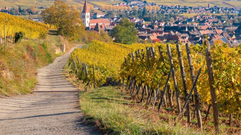 Ziua 2 - Tur de 1 zi in Alsacia - Experienta completa de degustare a vinurilor