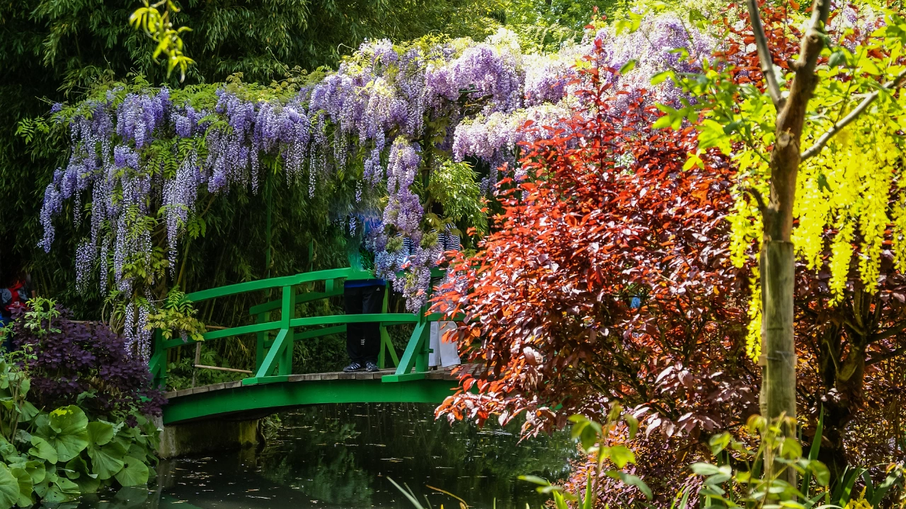 Ziua 1 - Cluj - Paris - Giverny - Bayeux