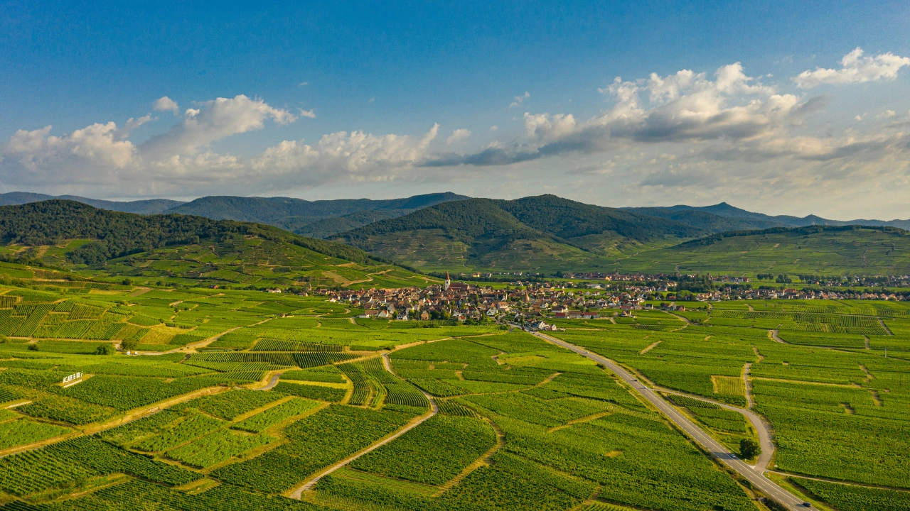 Ziua 2 - Tur de 1 zi in Alsacia - Experienta completa de degustare a vinurilor