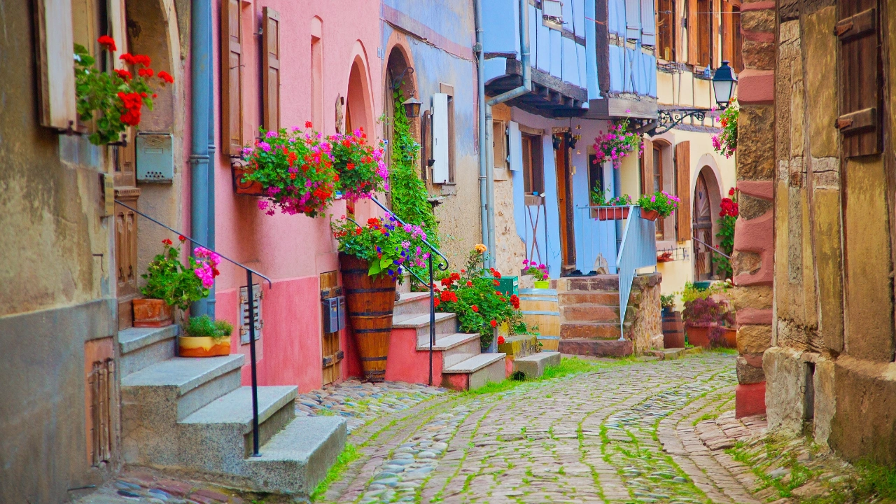 Ziua 3 - Tur privat de 1 zi - Descopera comorile Alsaciei