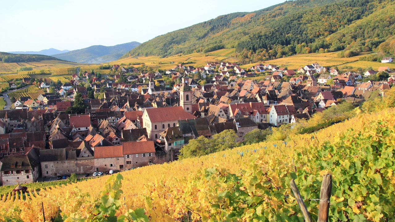Ziua 3 - Tur privat de 1 zi - Descopera comorile Alsaciei