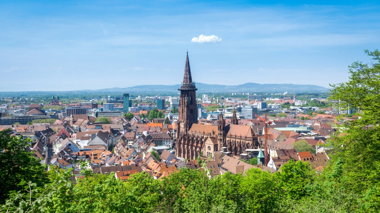 Ziua 4 - Tur privat de o zi Freiburg