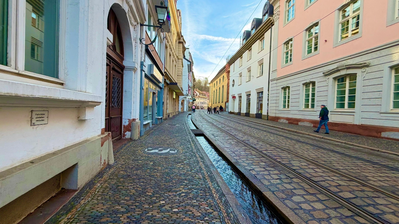 Ziua 4 - Tur privat de o zi Freiburg